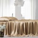 Online Cappuccino 22 Momme Mulberry Silk Sheet Set