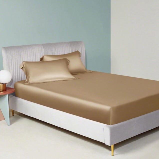 Online Cappuccino 22 Momme Mulberry Silk Sheet Set