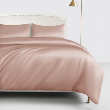 Online Pearl Pink 22 Momme Mulberry Silk Duvet Cover